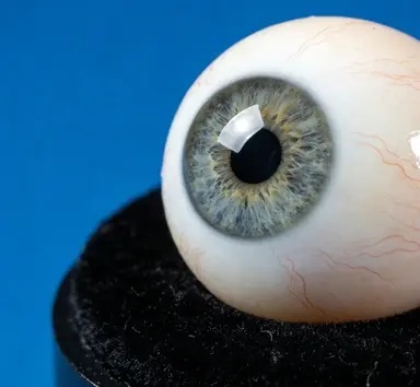 义眼护理与清洁