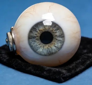 正目义眼 关于我们