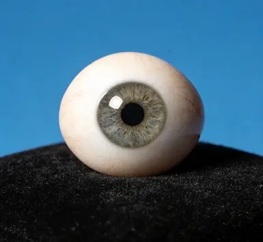 个性化义眼定制